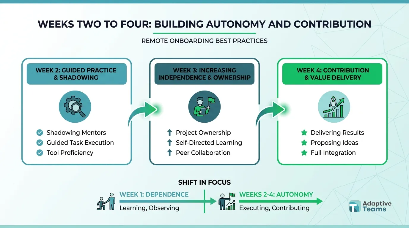 Weeks Two to Four: Building Autonomy and Contribution